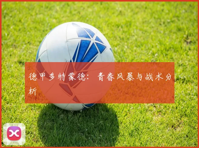 德甲多特蒙德：青春风暴与战术分析