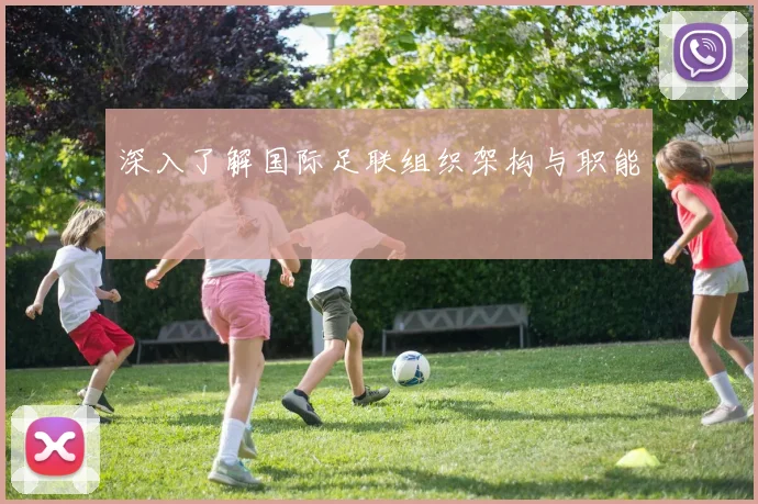 深入了解国际足联组织架构与职能