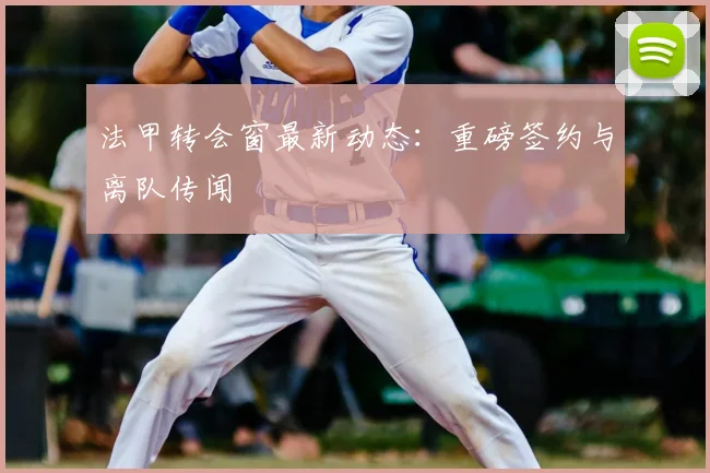 法甲转会窗最新动态：重磅签约与离队传闻